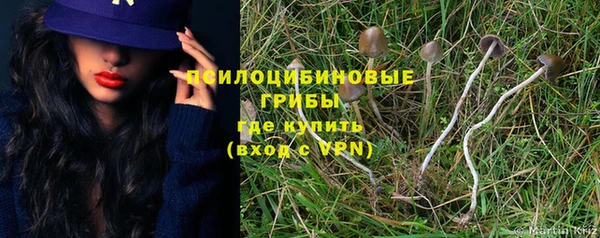 соль ск Бикин