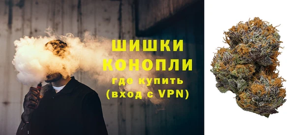 индика Валуйки