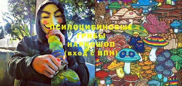 соль ск Бикин