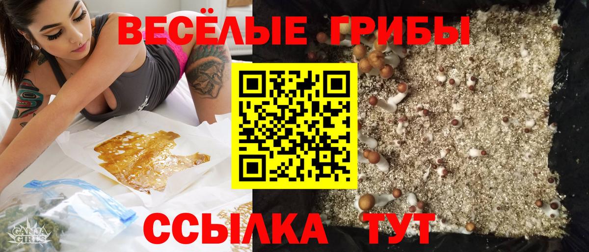 Псилоцибиновые грибы Cubensis Вольск