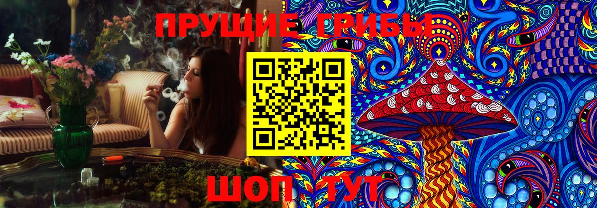 Псилоцибиновые грибы Psilocybine cubensis  Вольск 