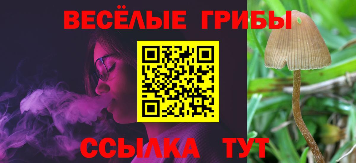 ТГК Вольск