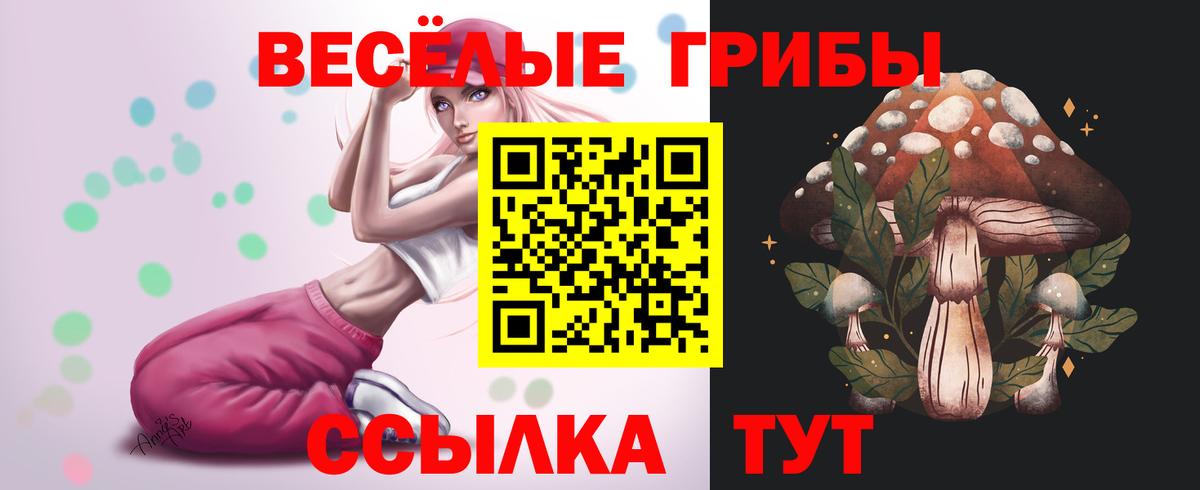 Псилоцибиновые грибы мицелий Вольск